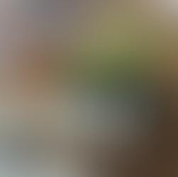 Dia da Árvore na Locks