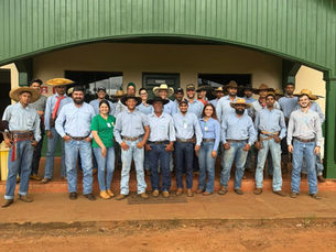 Fortalecendo o Manejo Responsável - Pecuária Dourado