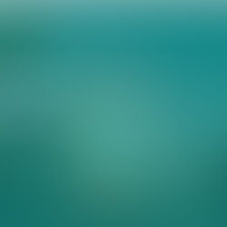 Despesa de Importação Frete