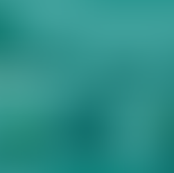 ATIVO FIXO / BEM PERMANENTE