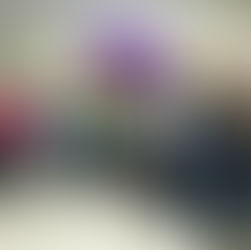 Agosto Lilás: Colaboradoras da Guapirama participam de ação em Deciolândia