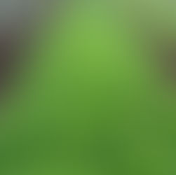 Unidade Bacaba amplia horta