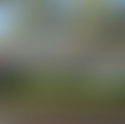 Reintegração na Bacaba