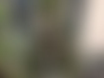 Office Christmas Party Festive Cheer