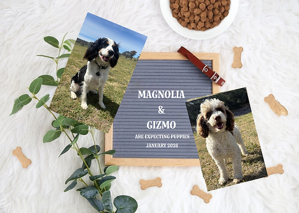 Magnolia and Gizmo.png