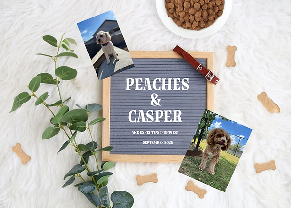 Peaches and Casper.png