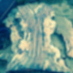 fullsizeoutput_11