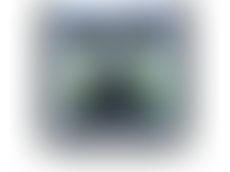 Slab Society: The Rise of Encapsulated Currency Art