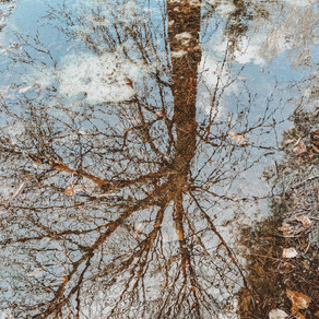 10 Things I Learned This Spring - 2020