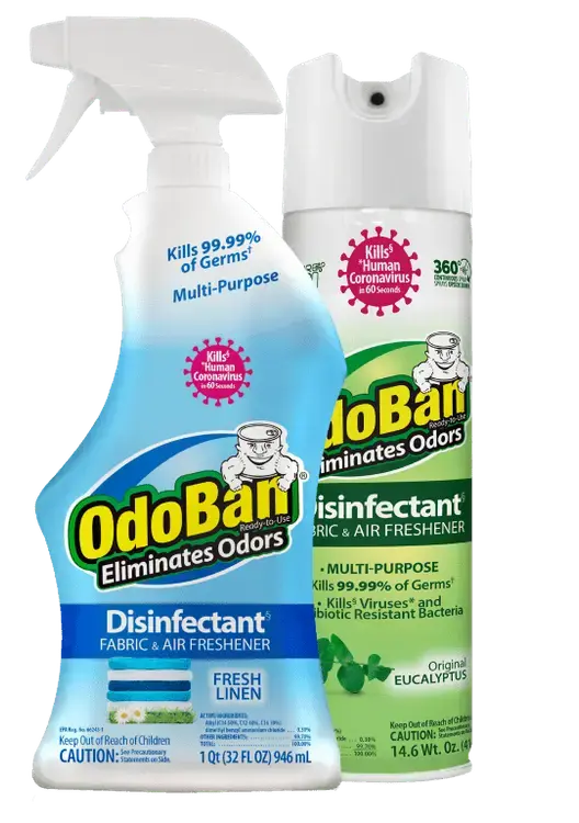 High angle view of a person spraying Odor Ban on a carpet