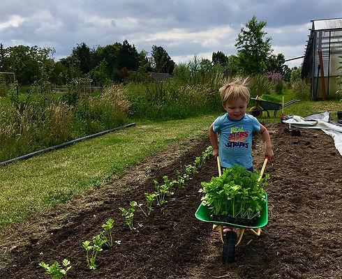 Molenkouter bioboerderij kinderen welkom.jpg