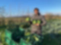 thumbnail_IMG_4727.jpg