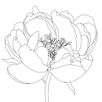 mamashanti peony_edited.png