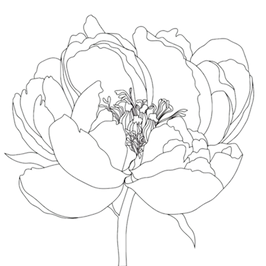 mamashanti peony_edited.png