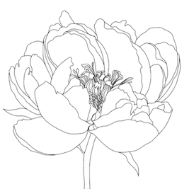 mamashanti peony_edited.png