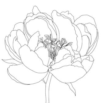 mamashanti peony_edited.png