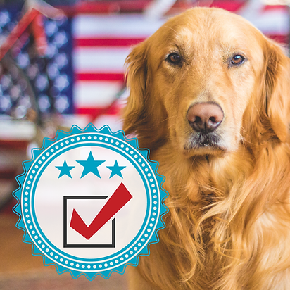 aphc-top-dog-quarter-insta-ad-square-042