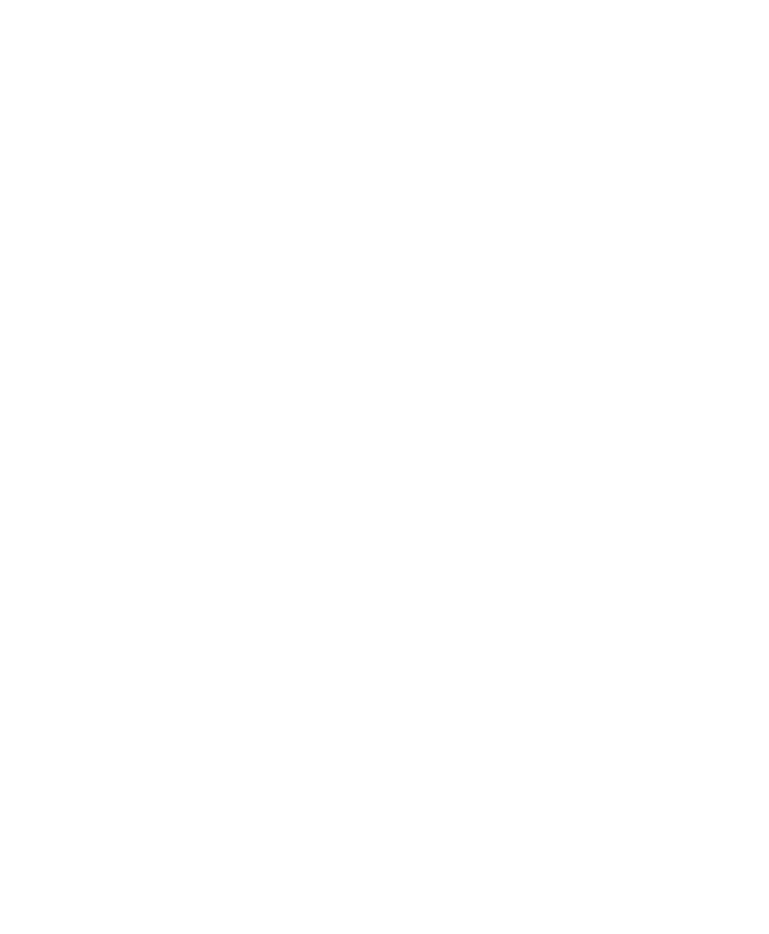 ZED_consulting_MINI-1.png