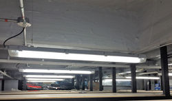 Adidas Originals -Synergy Team SAS