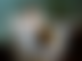 Pets of Arete Living September 2022