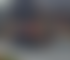 Social Media Spotlights