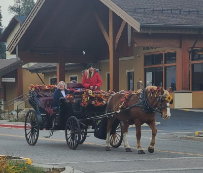 Social Media Spotlights