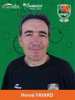 Herve FAYARD(1)