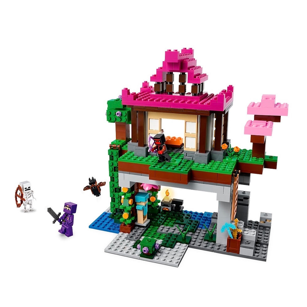 Thumbnail: LEGO Minecraft 21183 The Training Grounds