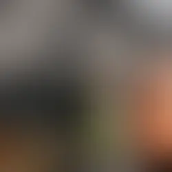 Light shines on Durham’s cultural future