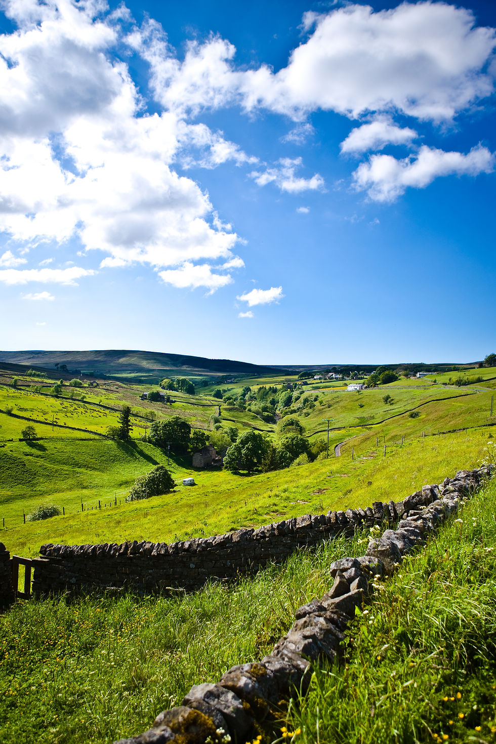 Celebrating Earth Day in the Heart of Weardale