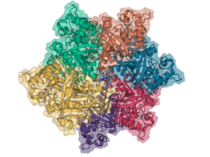 Scientists discover new DNA-binding proteins from extreme environments that could improve disease diagnosis