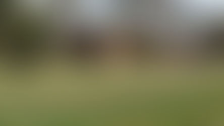 County Durham Laser Cleaning Firm Helps Restore Town Moor Wall Ahead of Historic Celebration