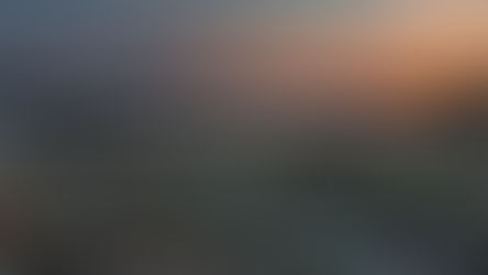 Newmarket Holidays helps North Pennines peatland restoration