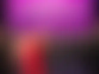 County Durham accountancy firm crowned firm of the year