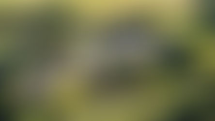 Raby Castle's lifestyle destination celebrates increase in visitors one year on