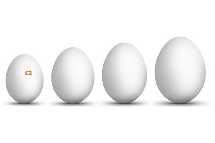 Яйця курячі  білі кремові коричневі. Яйцо оптом с птицефабрики