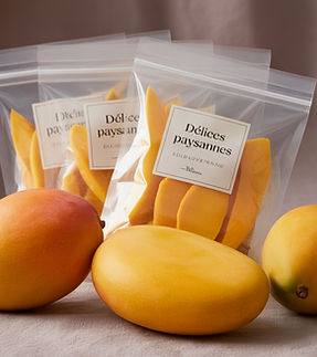 WhatsApp Image 2025-07-18 at 22.42.20 (1).jpeg