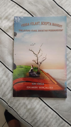 Palavras Voam Escritas permanecem - Edu Viola