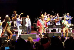 Junior Bier tocando com a Orquestra à Base de Corda e Martinho da Vila
