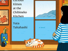 Curious Kitten at the Chibineko Kitchen: A Readable Route Through a Bigger Subject