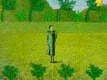 Rainforest: Memory, Identity and the Moment Everything Tilts
