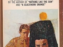 A Vision of Battlements: A Novel That Finds Drama Inside Ordinary Life