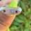 Thumbnail: Opalescent Pink Montana Sapphire & Amethyst Florentine Signet | Size 8