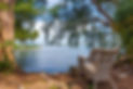 shoreline pic.jpg