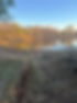 POnd.png