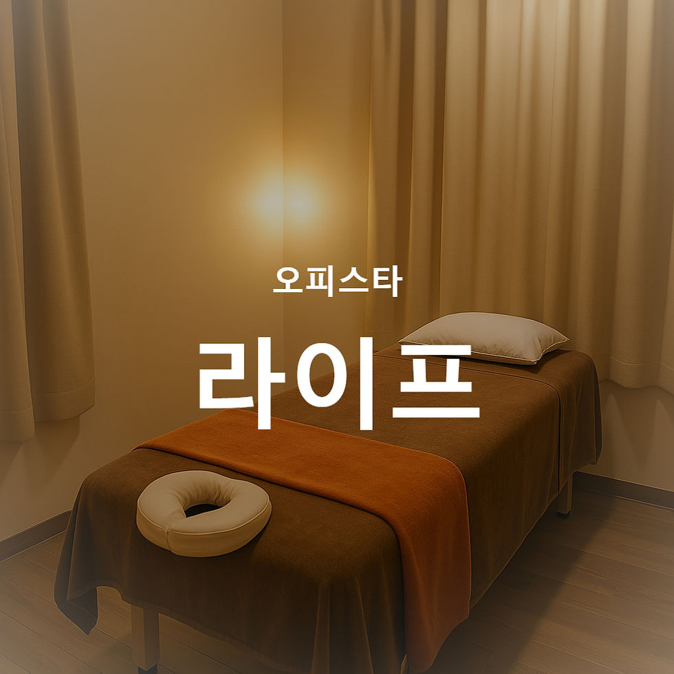 라이프