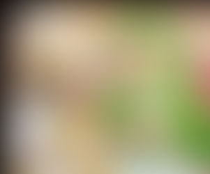 Kocanın Hanımı Üzerindeki Hakları