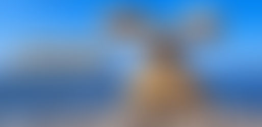 Dinde Aşırıya Gitmek