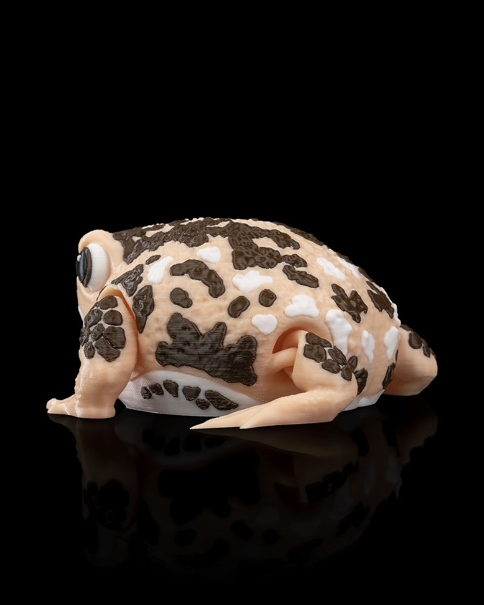 Thumbnail: Humphrey the Rain Frog