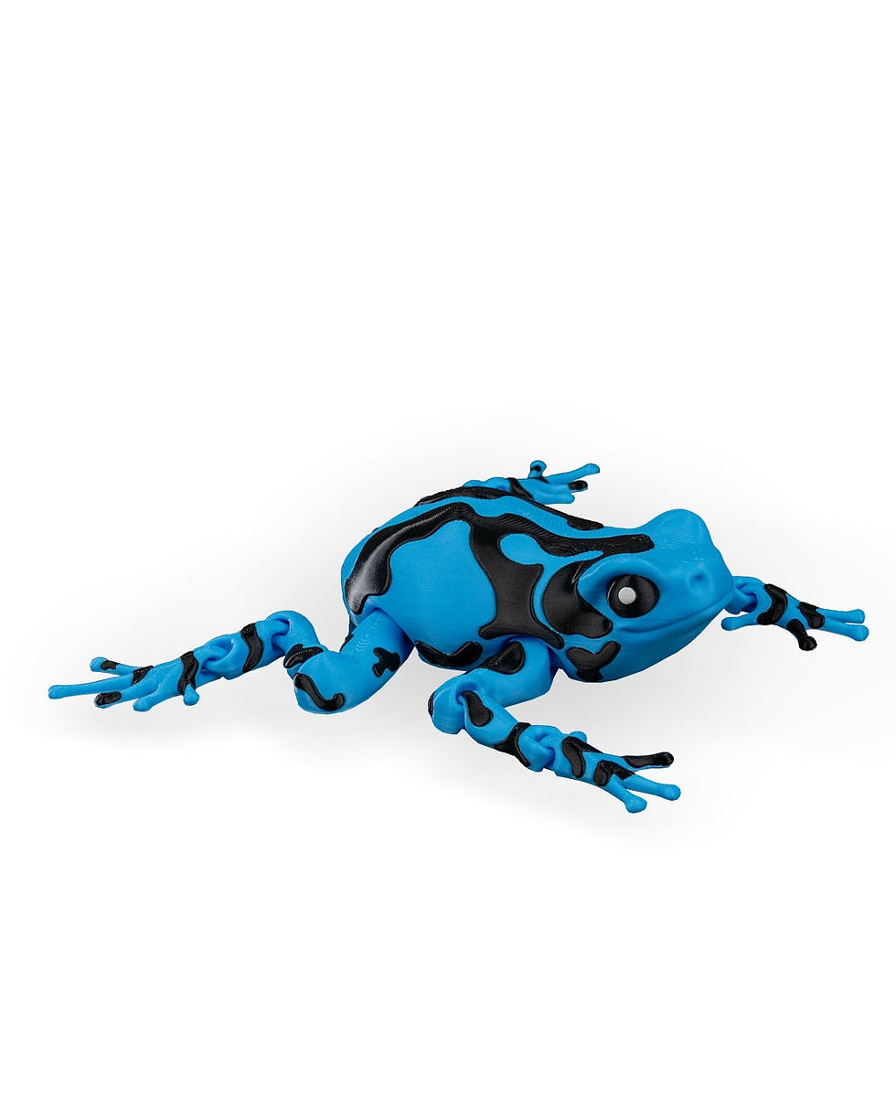 Thumbnail: Darcy the Poison Dart Frog